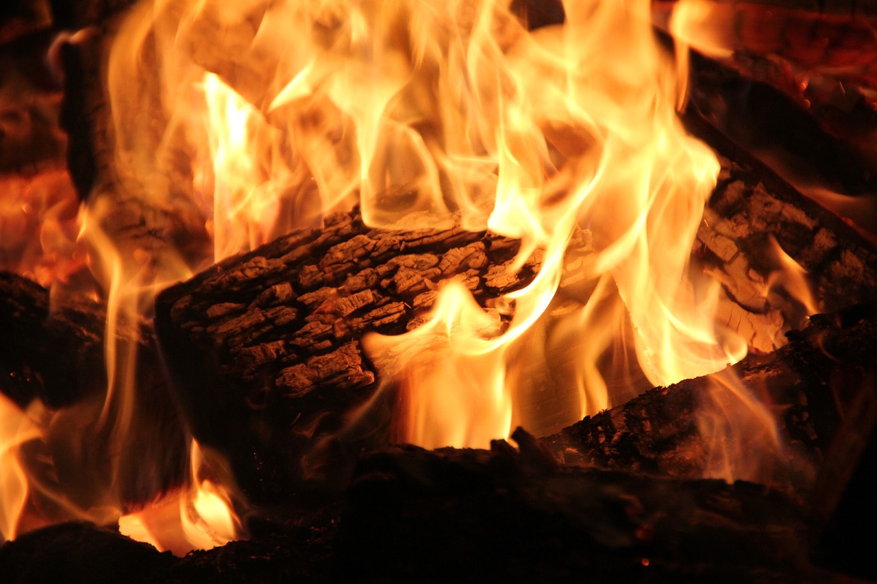 Professional Fireplace Cleaning Services In Livonia Michigan
